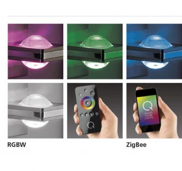 Paul Neuhaus Q- FISHEYE