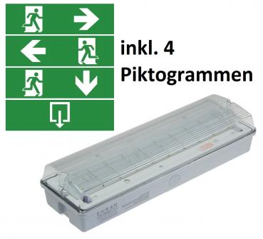 Preview: LED Fluchtwegleuchte "NL-W1" 30 LEDs Erkennungsw. 25m,Wandmontage, IP65