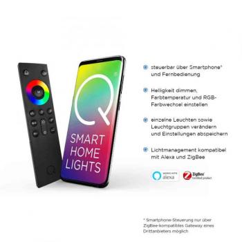 Preview: Paul Neuhaus LED-Deckenleuchte LB20 stahl 60 W 6600lm 2700-5000 K