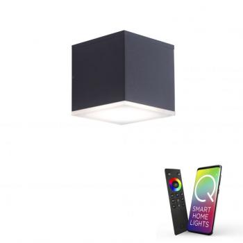 Paul Neuhaus LED-Wandleuchte LB20 anthrazit RGBW 10,8W 1080lm 3000K