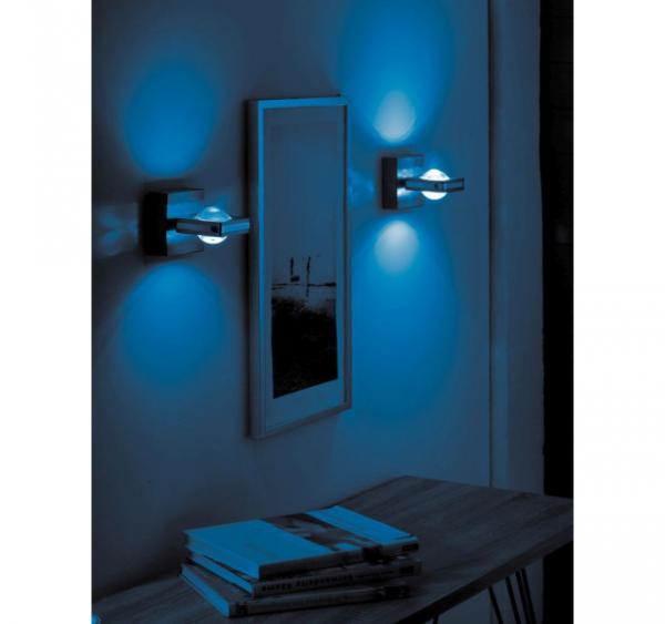 Paul Neuhaus Q- FISHEYE